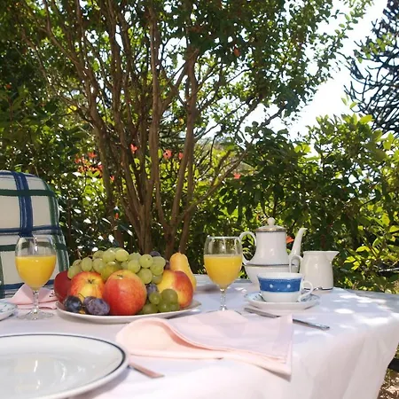 Hotel Hotel Al Fiume 3*